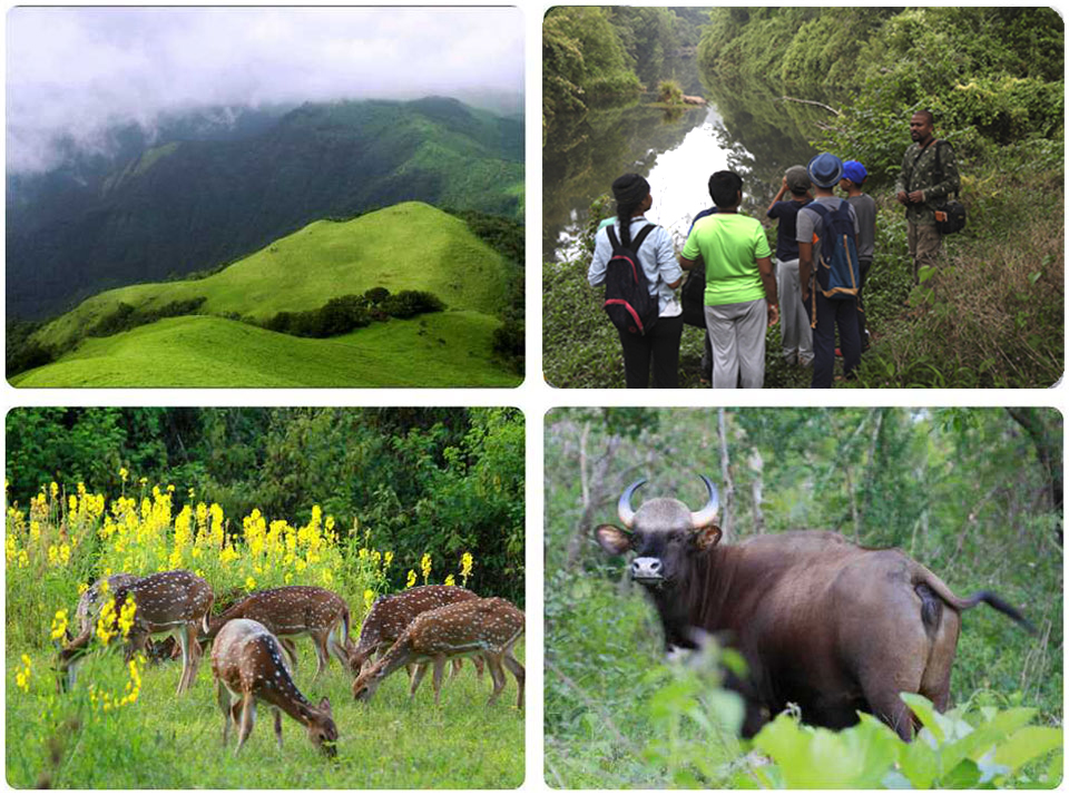 Coorg Adventure Wildlife Summer Camp 2020 Chennai Hyderabad Bangalore | Frolic Boonies